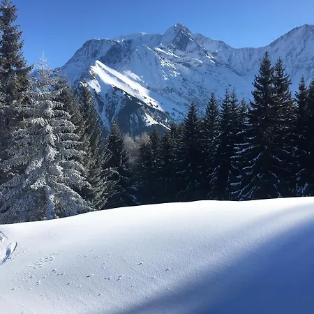 Bettex Gervais Les Bains Saint-Gervais-les-Bains